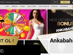 Ankabahis Canlı Casino